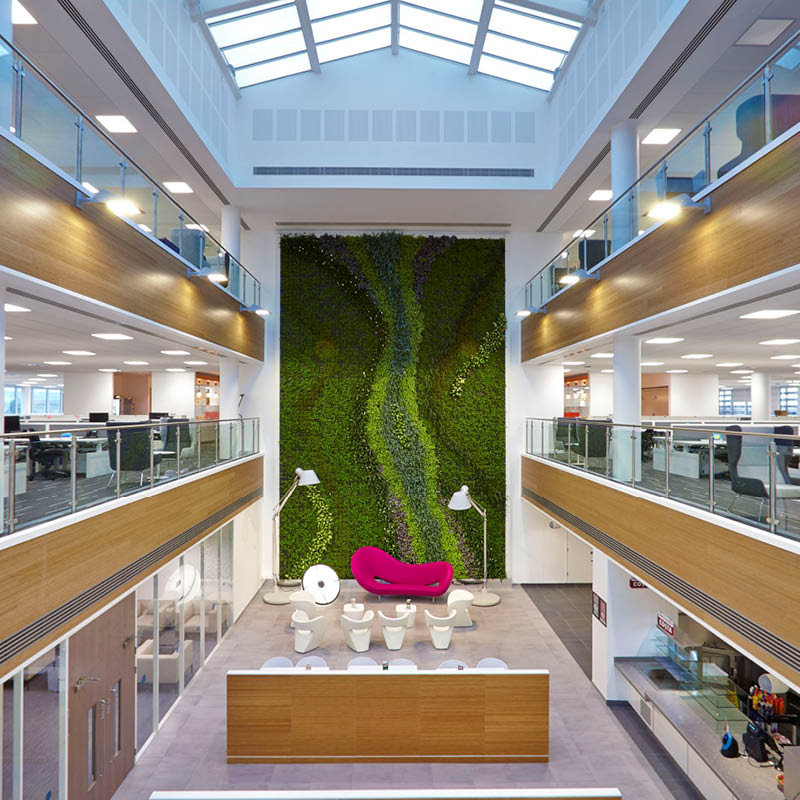 Feature living wall in an internal atrium