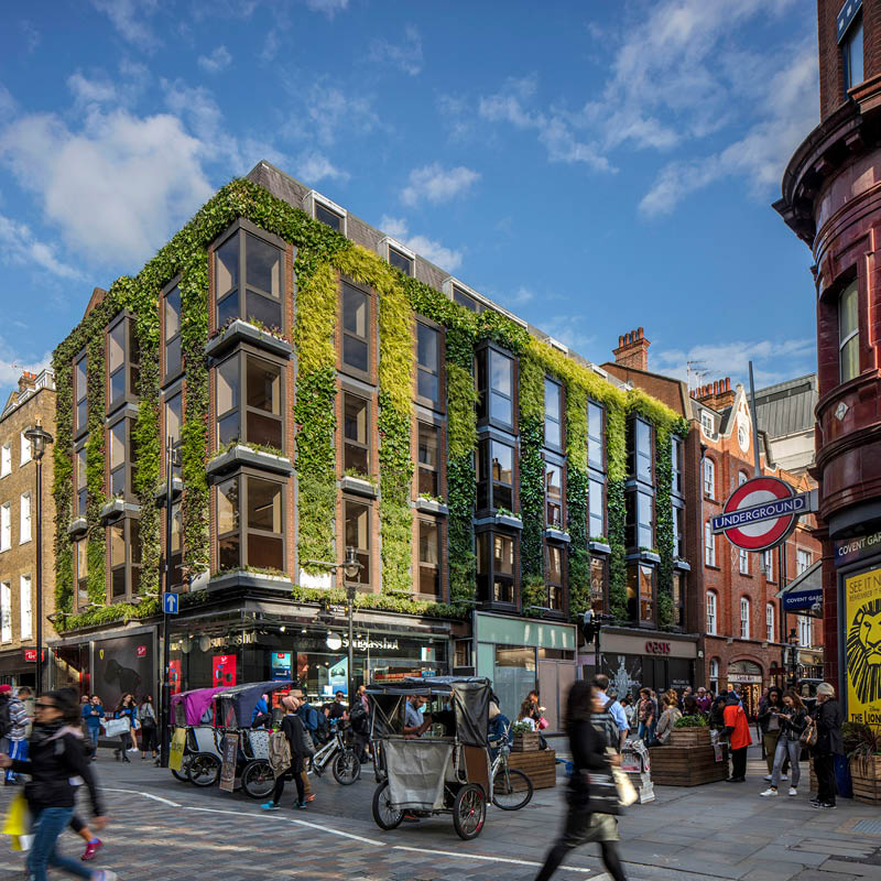 Covent garden green wall