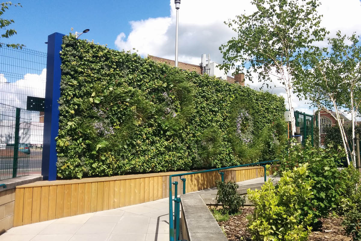 School green wall