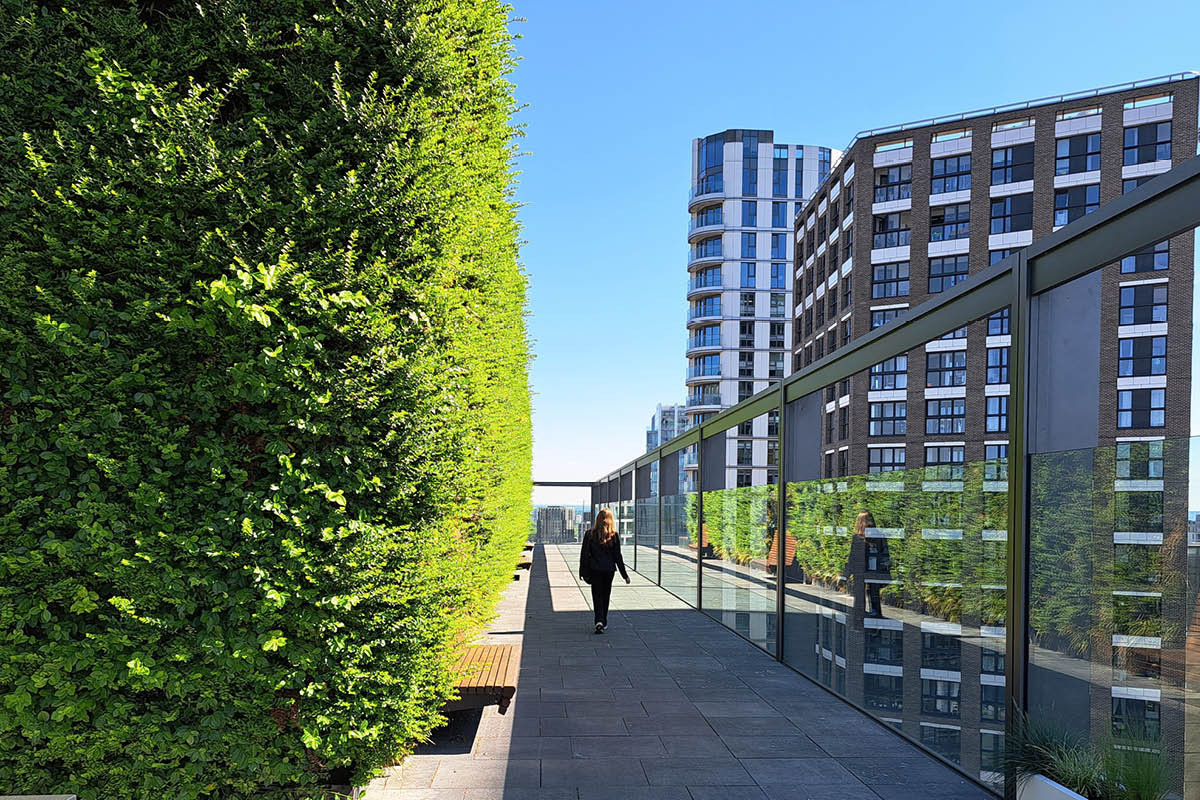 Roof terrace living wall