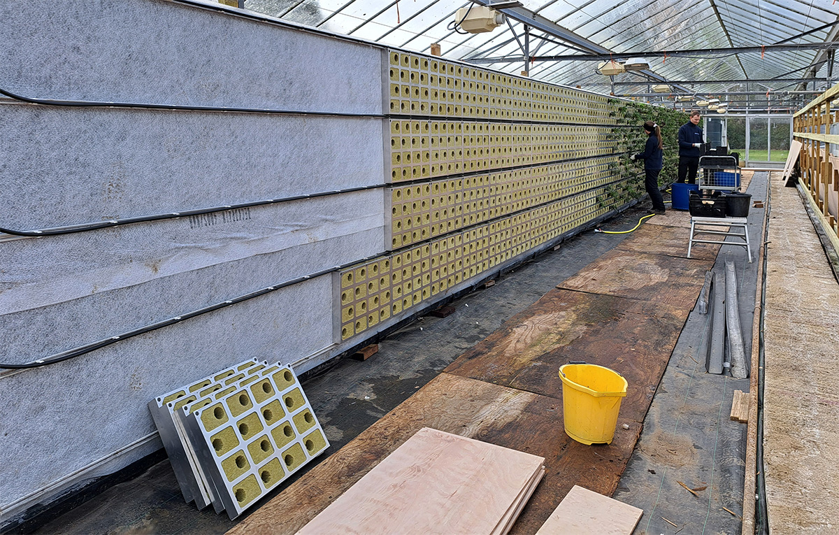 Re-engineering living walls: Biotecture’s Aluminium BioPanel raises the ...